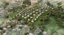 render real estate property,redevelop urban units,aerial view,master plan design