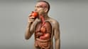 create medical 3d animations
