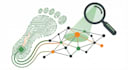 cyber security training ceh training
