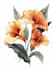 create watercolour botanical illustrations