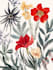 design vector botanical illustrations of flowers
