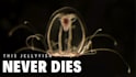 create epic dinosaur documentary