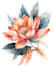 illustrate best botanical illustration