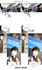 professional webtoon localization typesetting