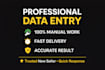 do accurate data entry, copy paste, pdf to excel