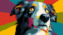 draw custom pet portrait in pop art style1