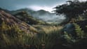draw a natural landscape and background illustration