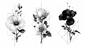 do unique hand drawn black and white classic illustrations