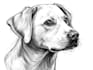 draw amazing line art for your pet
