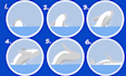 make animations, GIF loops, transitions, sprite sheets