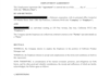 draft business contracts, commercial agreements, and legal documents