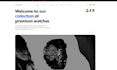 develop a professional website with HTML CSS javascript