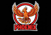 make outstanding phoenix mascot logo with express delivery with t shirt design