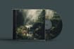 design an eyecatching and stunning album cover