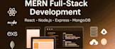 develop professional saas web applications