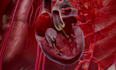 do 3d medical animation, 3d medical video, surgery animation, 3d anatomy