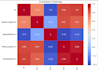 provide detailed data analysis, visualizations and reports