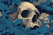 do dark art illustration