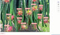 do image annotation, bounding box, polygon, and data labeling for ai, ml