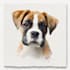 draw watercolor pet portrait