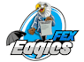 design unique eagle logo