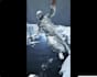 do vfx rotoscoping, roto, masking, chroma keying, green screen remove