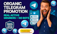 do token promotion, crypto telegram subscribers, telegram ads pump fun promotion