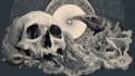 draw dark art illustration with engraving style