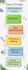 create visually stunning canva content