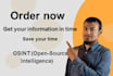 do background check and online investigation using osint