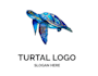 create high quality and beautiful turtle logo design