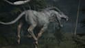 design 3d animals,character model,monster 3d creature modeling in zbrush,stl fbx