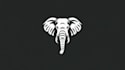 professional elephant logo design  minimalist  custom