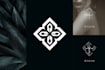 do highly creative luxury business logo design