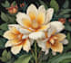 illustrate best botanical illustration
