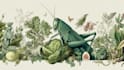 draw scientific animals, plants or encyclopedia book illustrations