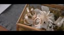 create beautiful and emotional wedding video editing