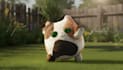 animate and rig your stylized 3d character for games