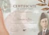 design a professional award certificate that impresses