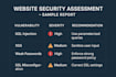 saas and website security health check