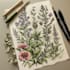 illustrate best botanical illustration