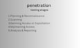 perform penetration testing on your web application