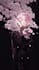 create a professional ai art using the secrets of stable diffusion
