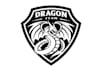design professional dragon logo