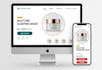 copy clone duplicate redesign or revamp shopify store design