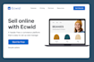 build ecwid store website, online store, website design, ecommerce store, expert