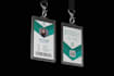 design a professional id card for business or institute