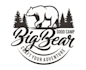 design professional bear logo