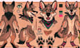draw nsfw ref sheet, sfw reference sheet, fursona ref sheet, anthro ref sheet