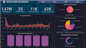 clean, analyze,visualize your data in excel, powerbi tableau